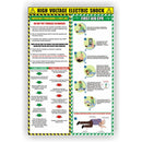 Prosol High Voltage Electric Shock Safety Poster - HVE7750
