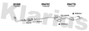 Klarius 301690 - Front Pipe For Cat  - Fits Renault R19 1.9D