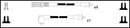 ElectroSpark Ignition Lead Set - OEK260