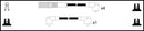 Lemark Ignition Lead Set - HOES1027