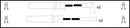 HighVolt Ignition Lead Set - OEF524