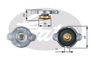 Gates Radiator Cap - RC133