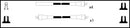 Lucas Ignition Lead Set - LUC4039