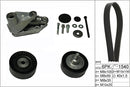 INA V-Ribbed Belt Set - Part No - 529019810