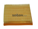 Fram Air Filter - CA9102