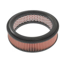 Blue Print Air Filter - ADN12210