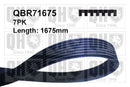 QH V-Ribbed Drive Belt - QBR71675