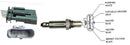 Intermotor Oxygen Sensor - 65183