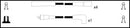 Lemark Ignition Lead Set - HOES1334
