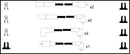 Lucas Ignition Lead Set - LUC7240