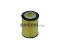 Fram Oil Filter - CH9955ECO