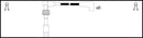 Intermotor Ignition Lead Set - 76285