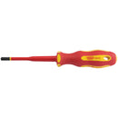 XP1000 Xp1000+Slim PZ/Sl2x100mm Sdvde - 02256