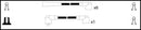 Lucas Ignition Lead Set - LUC4176