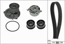 INA Water Pump & Timing Belt Set - Part No - 530035831