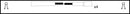 Intermotor Ignition Lead Set - 76018