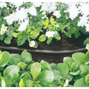 Draper Soaker Hose 12mm Bore 15M Long - 68261