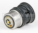 First Line Coolant Thermostat - FTK535