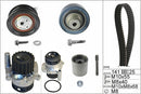 INA Water Pump & Timing Belt Set - Part No - 530036132
