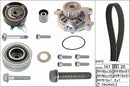 INA Water Pump & Timing Belt Set - Part No - 530048230