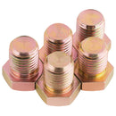 Draper PK5 Replace.Sump Bolt M13x1.5 - 85532