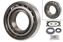 FAG Wheel Bearing Kit - 713613410