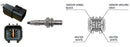 Kerr Nelson Oxygen Sensor - KNL1094B