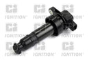 Ignition Coil - XIC8419