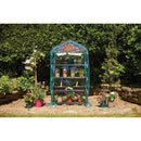 4-Tier Greenhouse