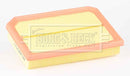 Borg & Beck Air Filter - BFA2639