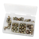 Draper Box Assorted Grease Nipples - 43961