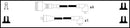 Lucas Ignition Lead Set - LUC7449