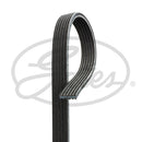 Contitech Drive Belt  - 6DPK1817