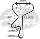 Gates PowerGrip Belt - 5542XS