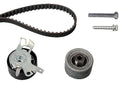 INA Timing Belt Kit - 530023810
