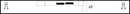 HighVolt Ignition Lead Set - OEF020