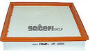 Fram Air Filter - CA12034