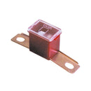 Wot-nots Fuse - Screw Fit Slow Blow - 100A - PWN664