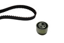 INA Timing Belt Set - Part No - 530021110