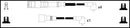 Intermotor Ignition Lead Set - 73771