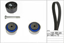 INA Timing Belt Kit - 530076510