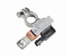HELLA 6PK 010 842-001 Sensor, battery management