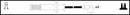 HighVolt Ignition Lead Set - OEF247