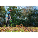 D20 D20 Garden Leaf Blower Set - 70526
