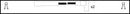 Lucas Ignition Lead Set - LUC4115