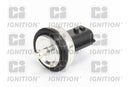 Oval Coolant Temperature Sensor - XEMS260