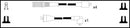 Lemark Ignition Lead Set - HOES584