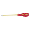 Draper Expert 100x3mm Plain SL.S/D-INS (PKD) - 69212
