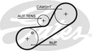 Gates PowerGrip Belt - 5546XS
