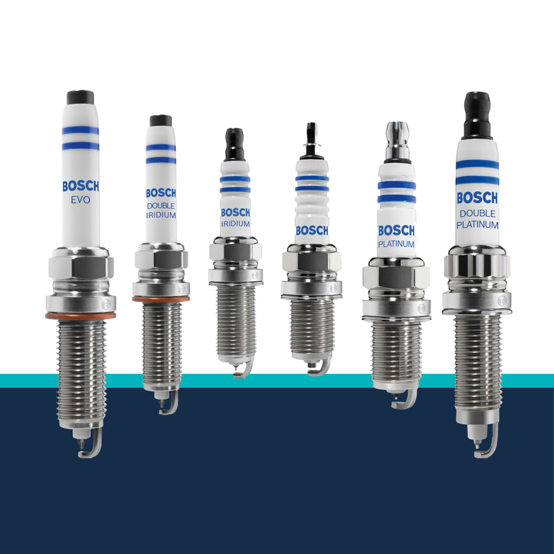 Six Bosch spark plugs on a white background